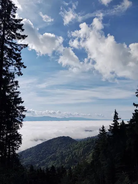 Krásná Krajina Hor Přírodní Krajina — Stock fotografie