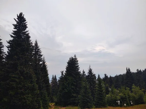 Prachtig Landschap Met Bergen Bomen — Stockfoto