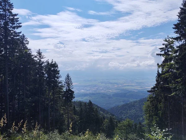 Bela Paisagem Com Montanhas Árvores — Fotografia de Stock