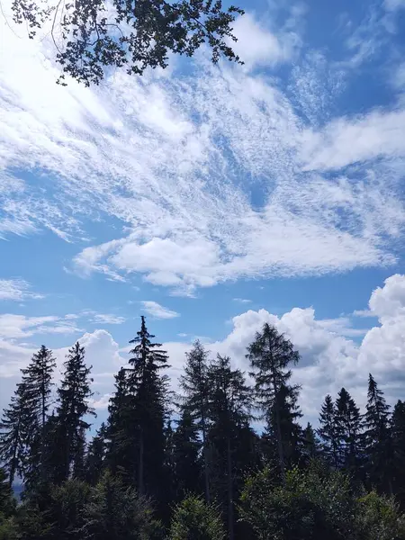 Wunderschöne Landschaft Mit Bergen Und Bäumen — Stockfoto