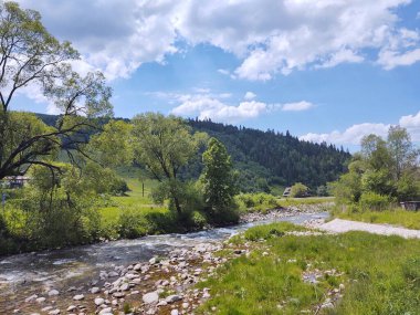 Küçük nehir akışı, doğa arkaplanı