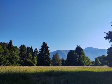 Dağları ve ağaçları olan güzel bir manzara.