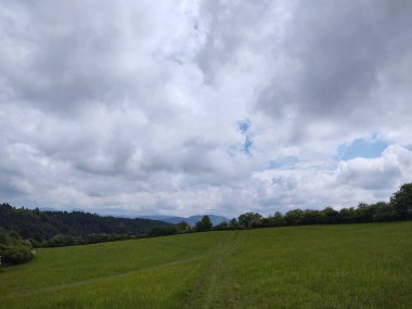 Dağları ve ağaçları olan güzel bir manzara.