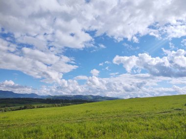Dağları ve ağaçları olan güzel bir manzara.