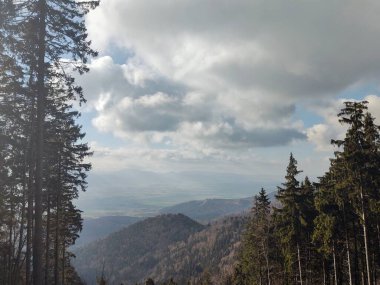 Dağları ve ağaçları olan güzel bir manzara.