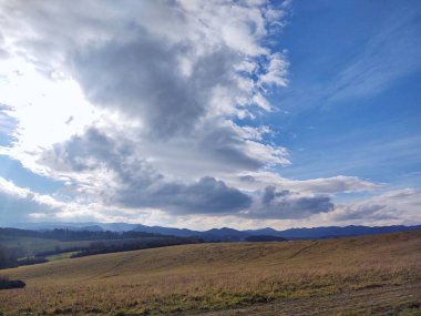 Dağları ve ağaçları olan güzel bir manzara.