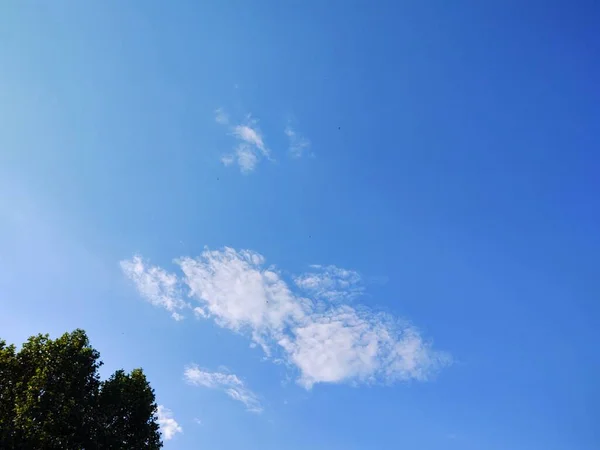 Wunderschöne Landschaft Mit Bäumen Und Blauem Himmel — Stockfoto