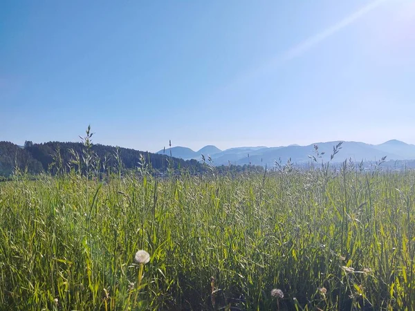 Hermoso Paisaje Con Montañas Árboles — Foto de Stock