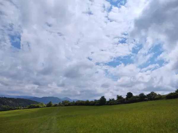 Bela Paisagem Com Montanhas Árvores — Fotografia de Stock