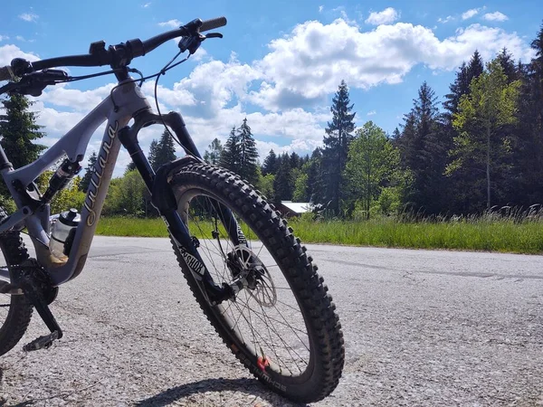 Bicicletta Nel Bosco — Foto Stock