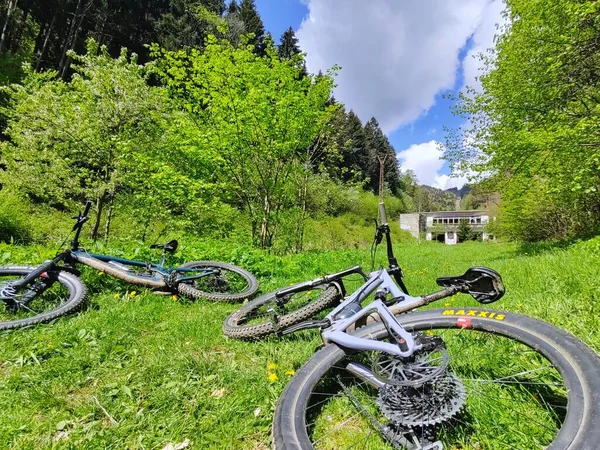 Fiets Het Park — Stockfoto