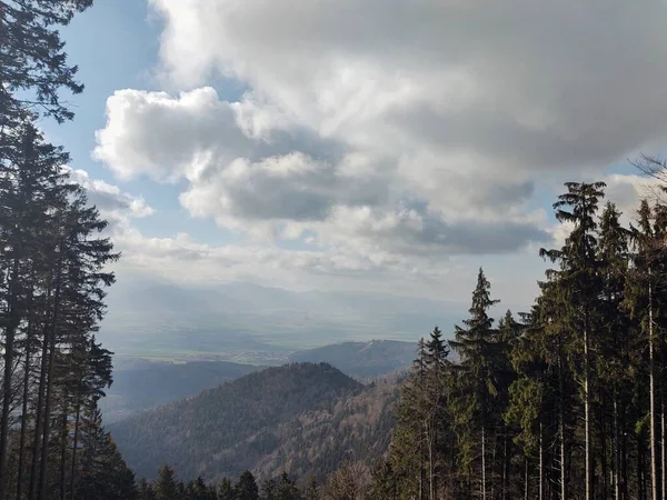 Hermoso Paisaje Con Montañas Árboles — Foto de Stock