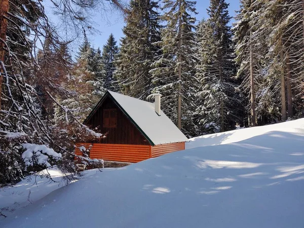 森林里雪地里的木头房子 — 图库照片