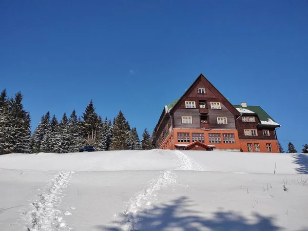 Wunderschöne Winterlandschaft Mit Schneebedeckten Bäumen Und Hütte — Stockfoto