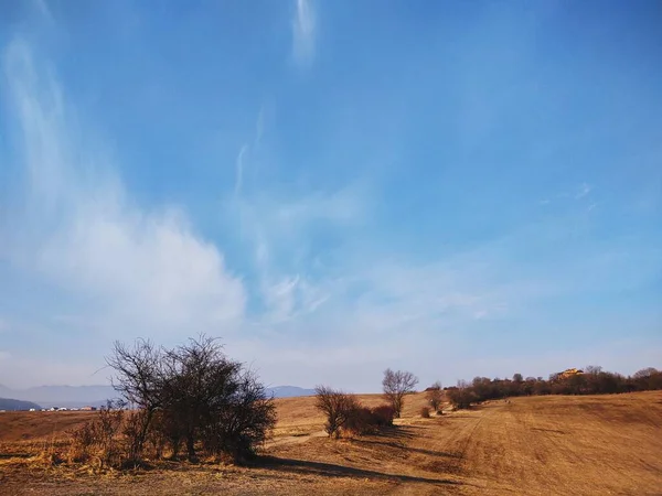 Vackert Landskap Med Träd Och Blå Himmel — Stockfoto