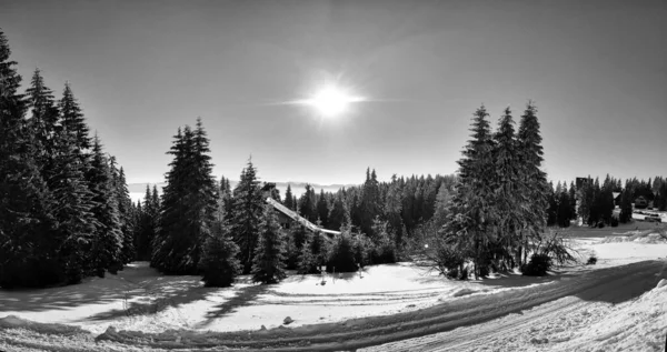 Vackert Landskap Med Berg Och Träd — Stockfoto