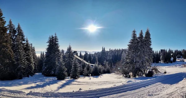 Hermoso Paisaje Invierno Con Árboles Cubiertos Nieve —  Fotos de Stock