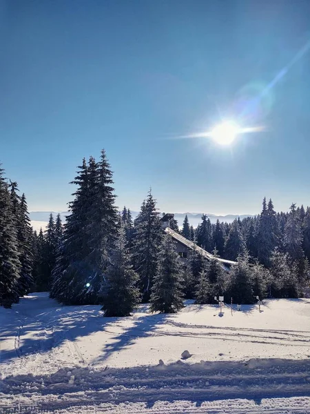 Όμορφο Χειμερινό Τοπίο Χιονισμένα Δέντρα Στα Βουνά — Φωτογραφία Αρχείου