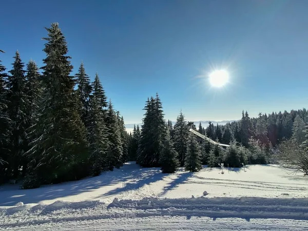Hermoso Paisaje Invierno Con Árboles Cubiertos Nieve Las Montañas — Foto de Stock