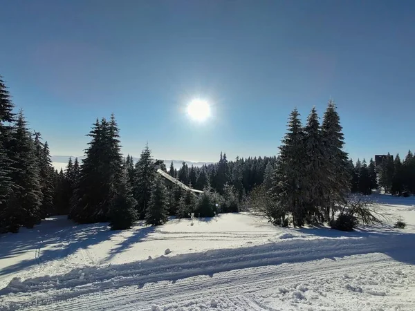 美丽的冬季风景 山上覆盖着积雪的树木 — 图库照片