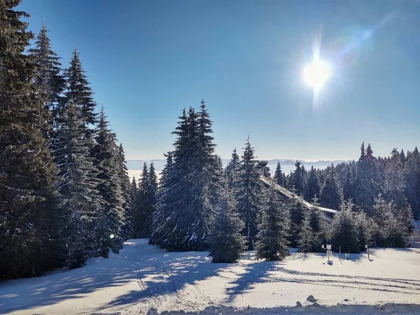 Hermoso Paisaje Invierno Con Árboles Cubiertos Nieve Las Montañas — Foto de Stock