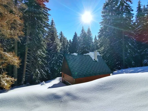 美丽的冬季风景 冰雪覆盖的树木和农舍 — 图库照片