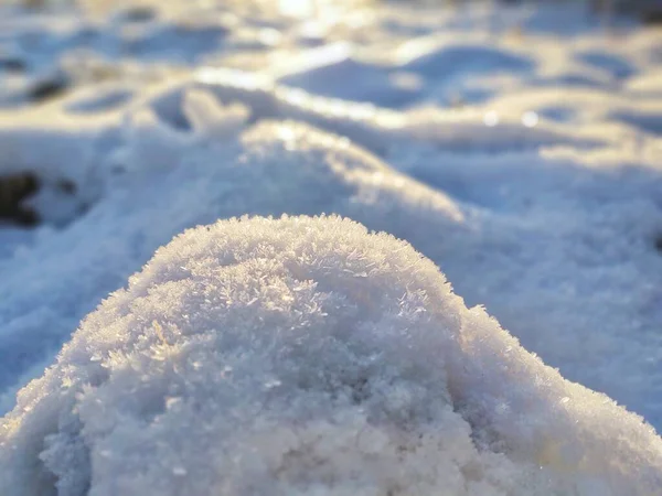 Suelo Cubierto Nieve Bosque Invierno —  Fotos de Stock