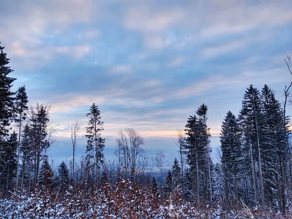Kışın Güzel Manzara Bulutlu Gökyüzü — Stok fotoğraf