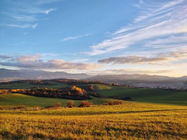 Dağları ve ağaçları olan güzel bir manzara.