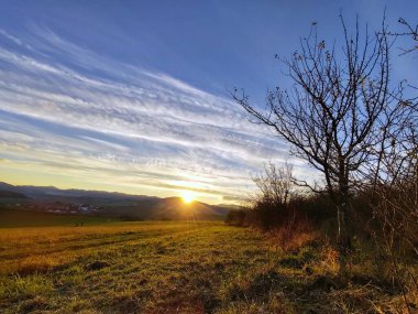 Dağları ve ağaçları olan güzel bir manzara.