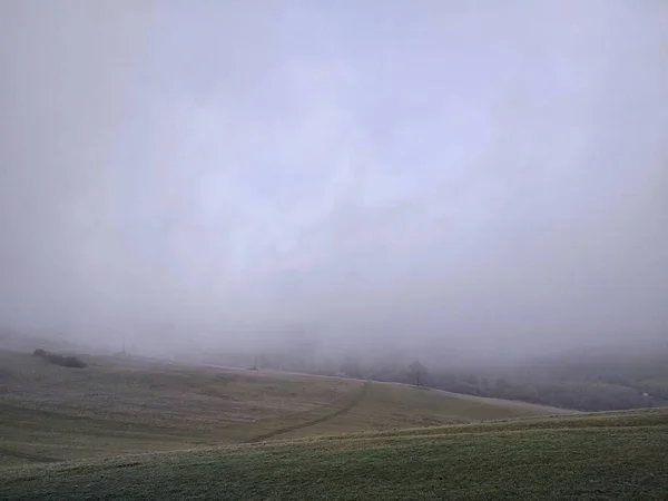 amazing nature landscape in foggy weather