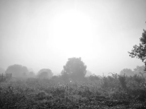 Incredibile Paesaggio Naturale Tempo Nebbioso — Foto Stock