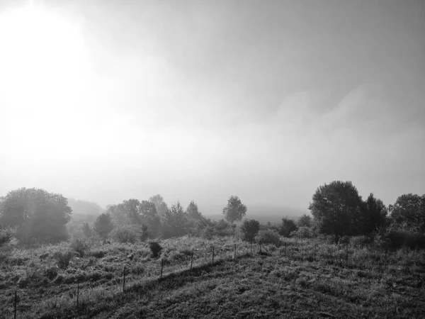 Beau Paysage Avec Montagnes Arbres — Photo