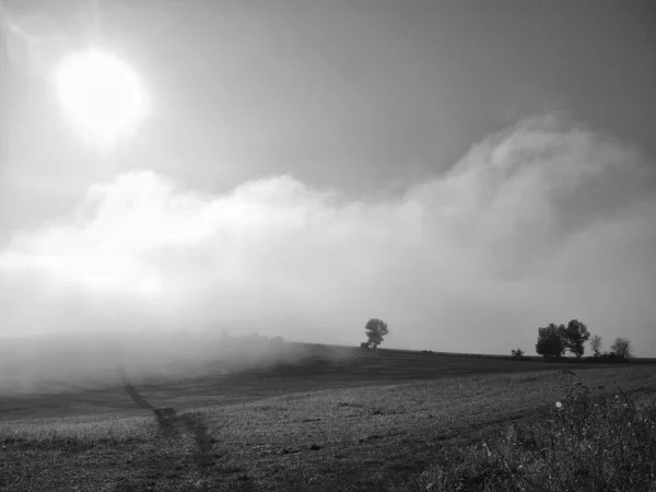 amazing nature landscape in foggy weather