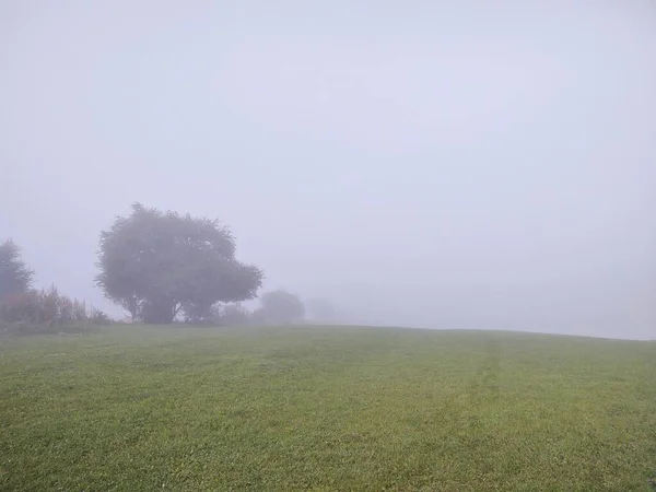Erstaunliche Naturlandschaft Bei Nebligem Wetter — Stockfoto