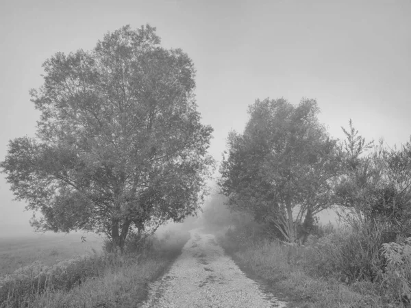 Paysage Naturel Incroyable Par Temps Brumeux — Photo