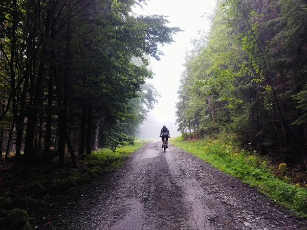 Ciclista Nel Bosco Nella Natura Durante Estate Autunno Slovacchia — Foto Stock