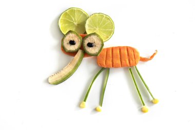 Beyaz arka planda şirin küçük bir fil