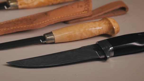Bir av dükkanında bıçaklar. — Stok video