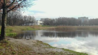 Sonbahar yaprakları yavaş çekimde düşüyor ve güneş sonbahar yapraklarında parlıyor.