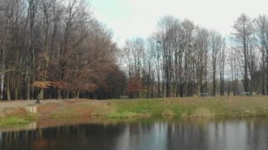 Sonbahar yaprakları yavaş çekimde düşüyor ve güneş sonbahar yapraklarında parlıyor.