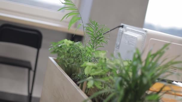 Geschäftsleute im großen Büro-Café-Bereich mit Blick auf die Skyline der Stadt — Stockvideo