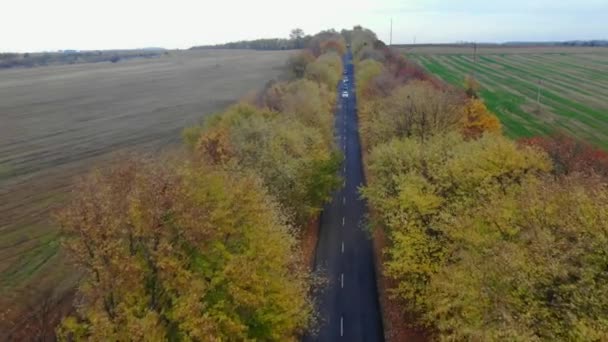 Розкішний автомобіль на дорозі на фоні поля — стокове відео