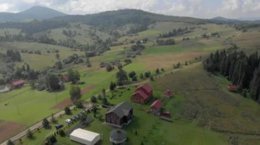 Üzüm bağıyla çevrili yeşil bahçede düğün etkinliği.