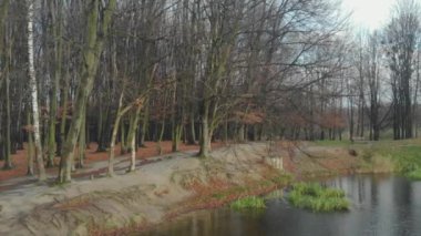 Sonbahar yaprakları yavaş çekimde düşüyor ve güneş sonbahar yapraklarında parlıyor.