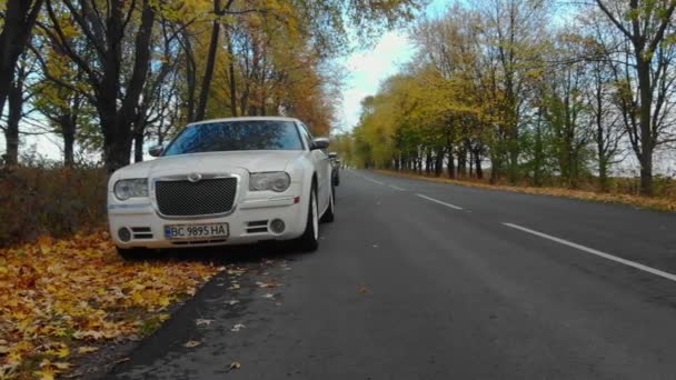 Розкішний автомобіль на дорозі на фоні поля — стокове відео