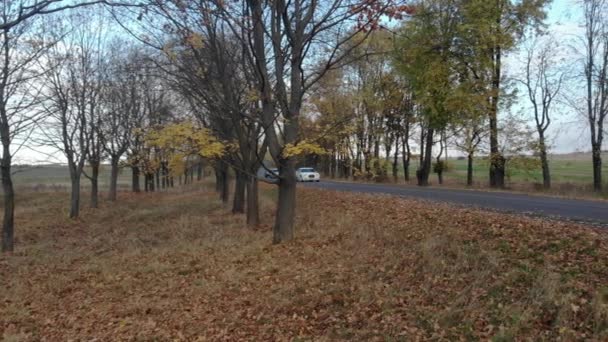 Carro de luxo na estrada no fundo do campo — Vídeo de Stock