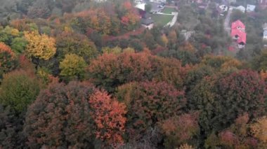 En tepedeki sonbahar tahtası. Doğa geçmişi. Renkli ağaçlarla dolu sonbahar ormanının havadan görünüşü.