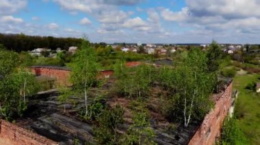 Bitkinin kalıntıları doğa tarafından fethedilir.