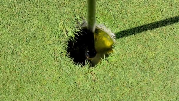 Recreación al aire libre Estilo de vida Actividad Profesional Golf Jugando Hombre Caucásico — Vídeo de stock